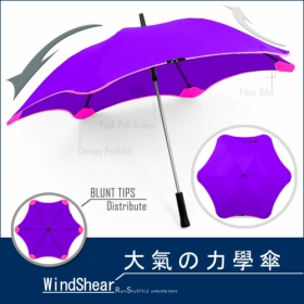 WindShear-大氣力學傘_颶風傘